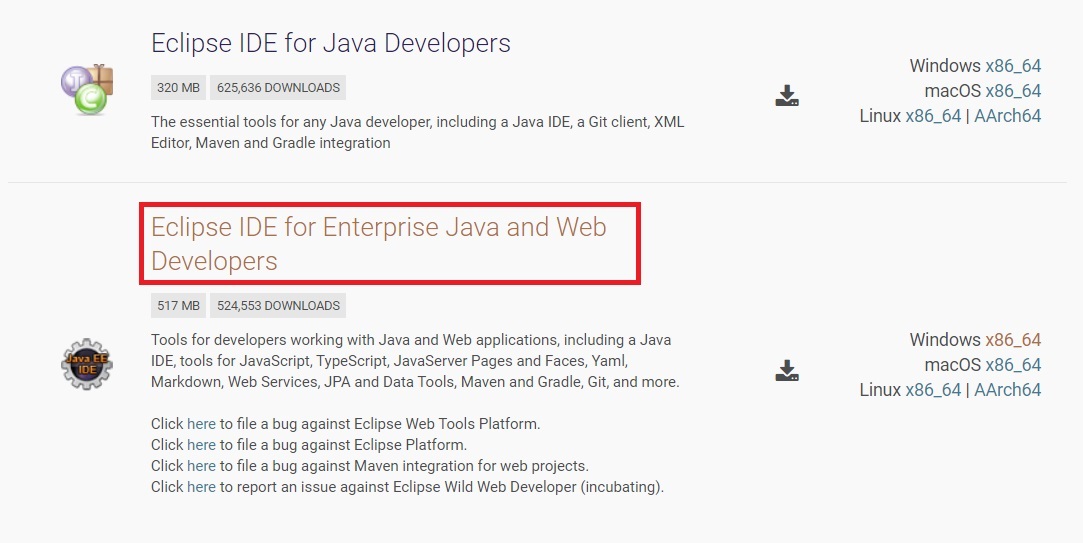 for Enterprise Java and Web Developers